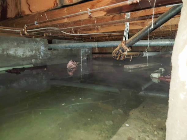  , MA Water damage restoration Pros